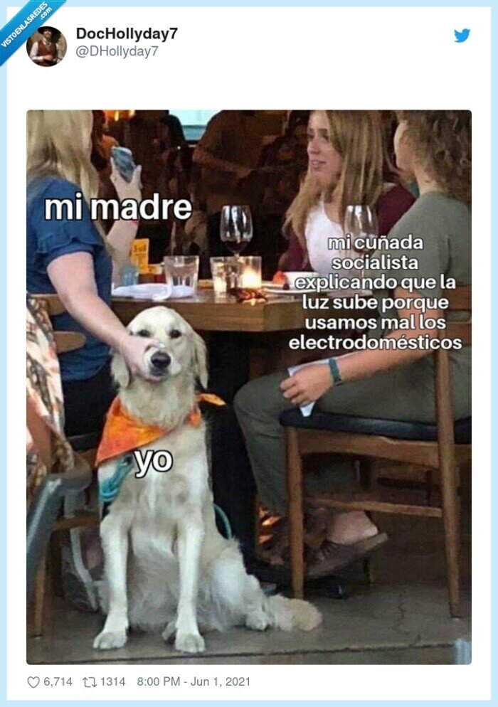 socialista,cuñada,perro,luz,callarse,subida