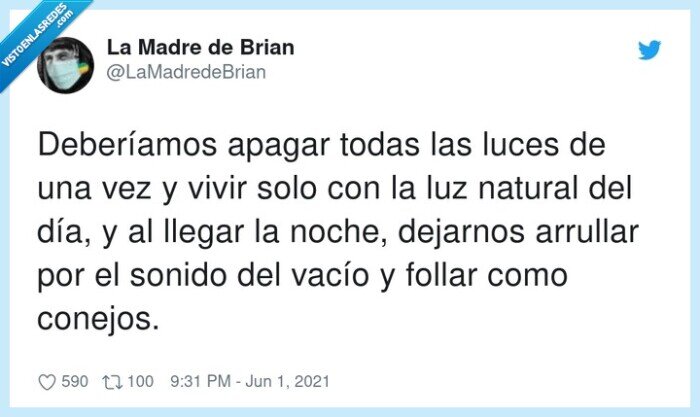 electricidad,factura,luz,arrullar,conejos,noche