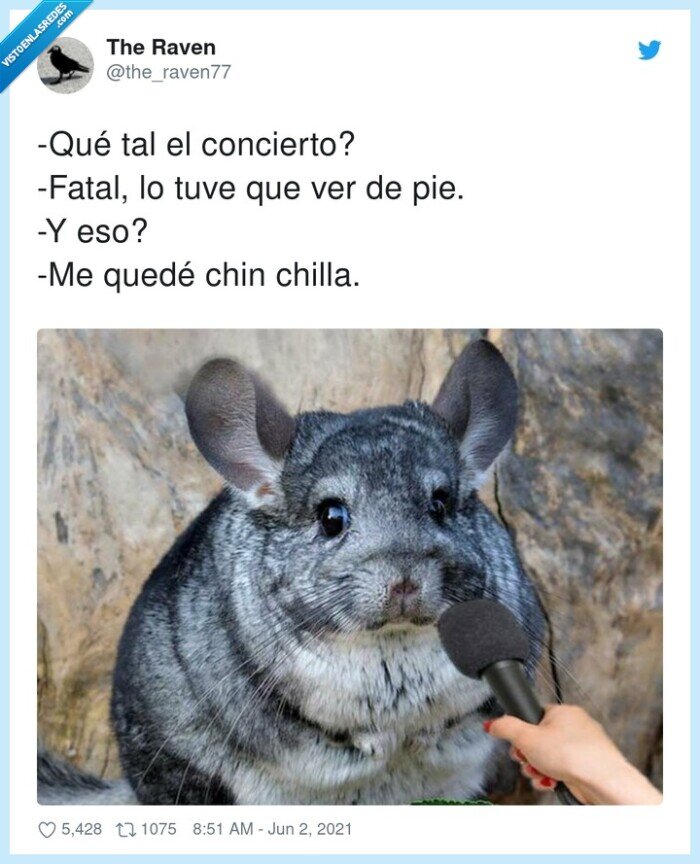 concierto,fatal,quedé,silla,chinchilla