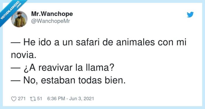 animales,reavivar,safari,novia,llama