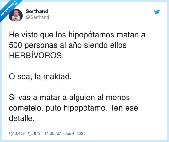 hipopótamos,hipopótamo,herbívoros,malvados,personas,detalle