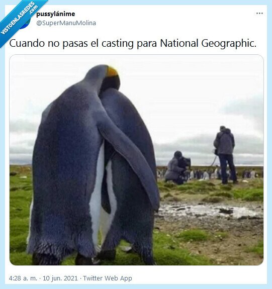 casting,national geographic,pasar