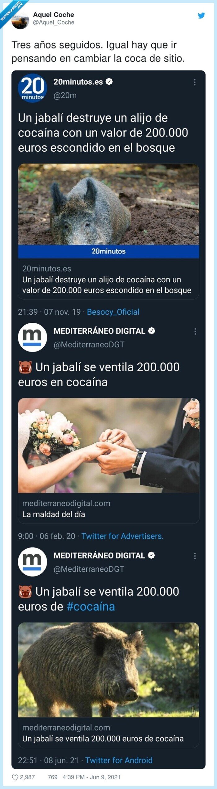 jabalí,coca,noticia,ventilar