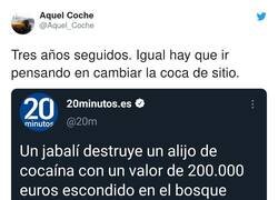 Enlace a Encima va aprendiendo con el tiempo. En 2019 destruyó el alijo, pero en 2020 se lo ventiló, por @Aquel_Coche