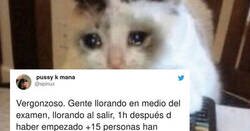 Enlace a Indignación en las redes por el examen de Matemáticas de Selectividad de Madrid