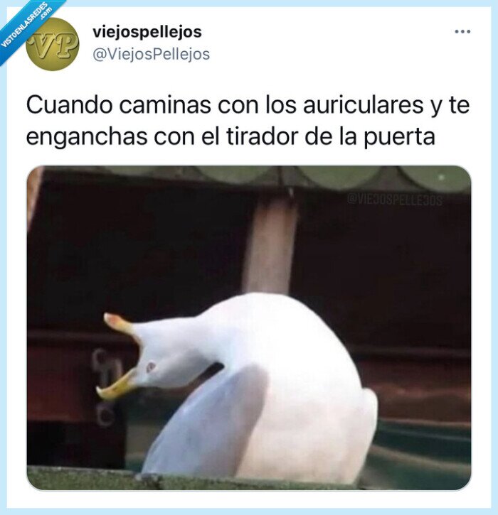 Gaviota,seagull,auriculares,cascos,headphones,musica,puerta,tirador,pomo,maneta,risa,humor,jajaja