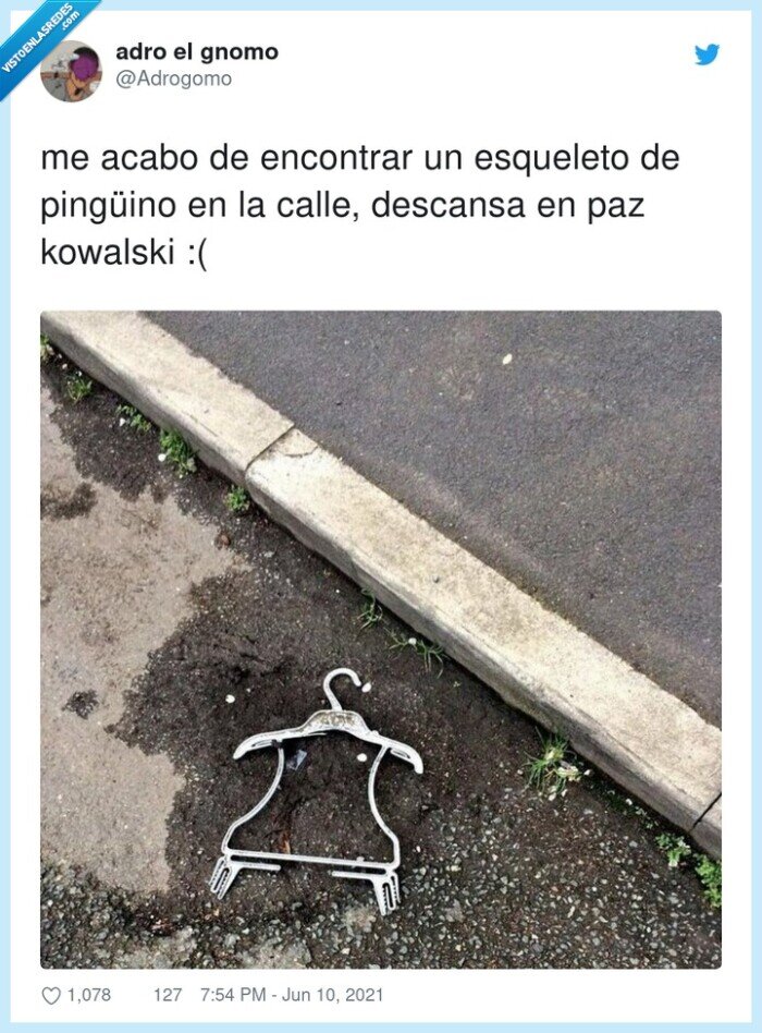 encontrar,esqueleto,ping&uuml;ino,descansa,kowalski,calle