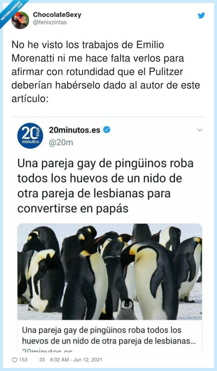 pinguinos,gays,hijos,lesbianas