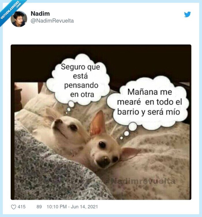 barrio,mear,pensar en otra,cama