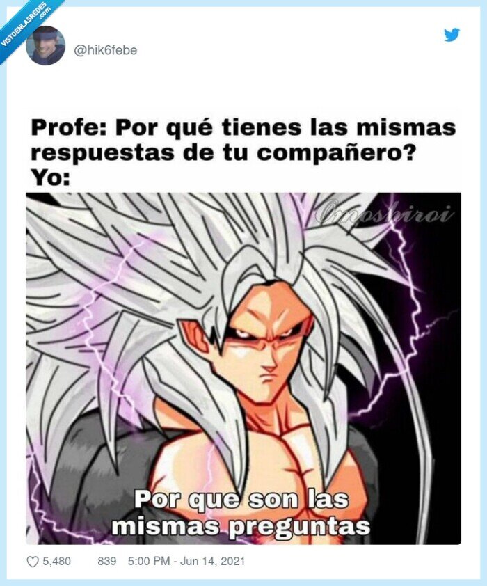 examen,preguntas,respuestas,copiar