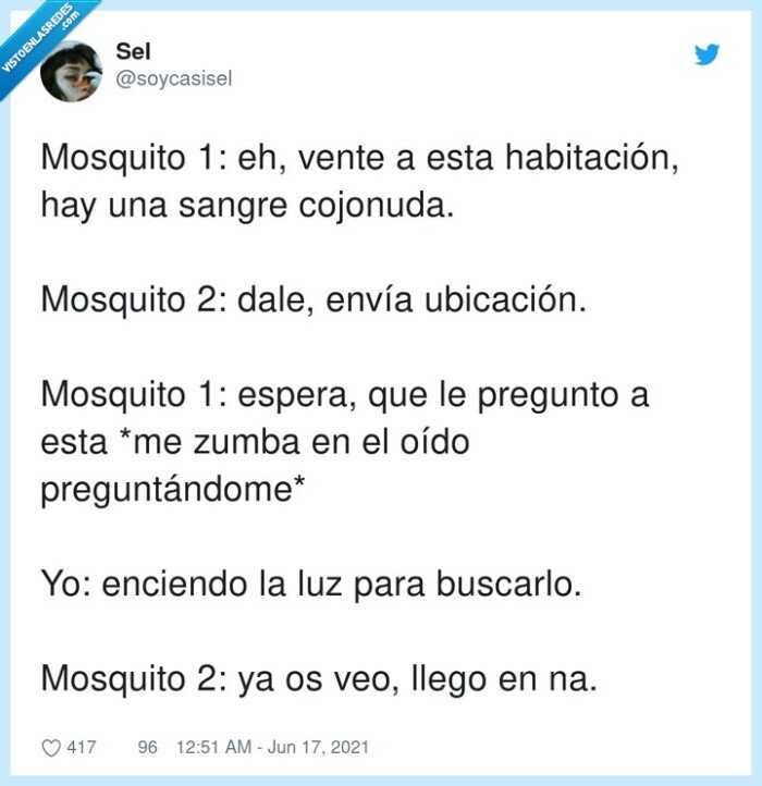 habitaci&oacute;n,ubicaci&oacute;n,mosquito,buscar