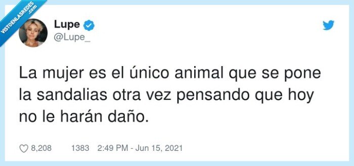 sandalias,hacer daño,único,animal,mujer