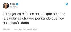Enlace a Mientras tanto en las oficinas de Compeed S.A..., por @Lupe_