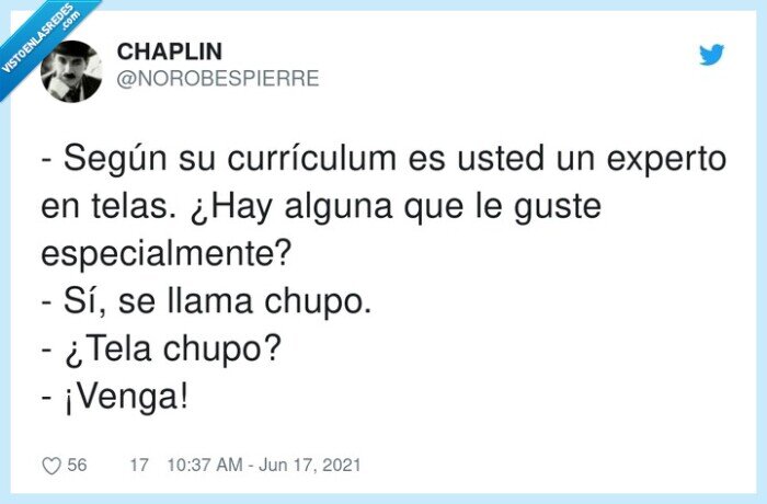 tela,chupo,currículum,experto