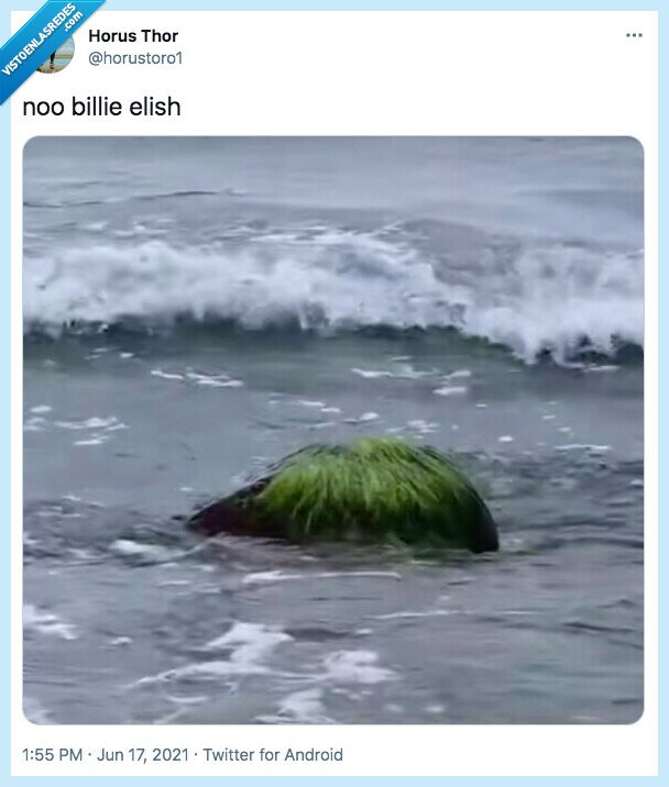 billie eilish,pelo,mar,cepillo
