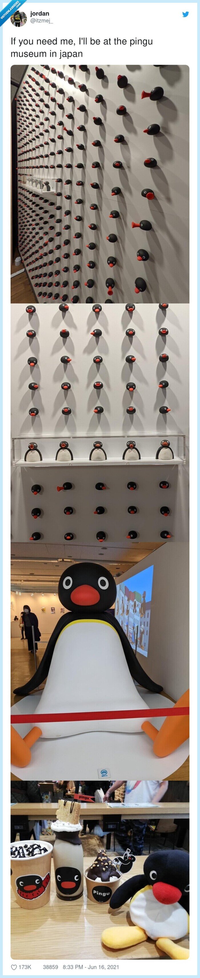 museo,japon,pingu