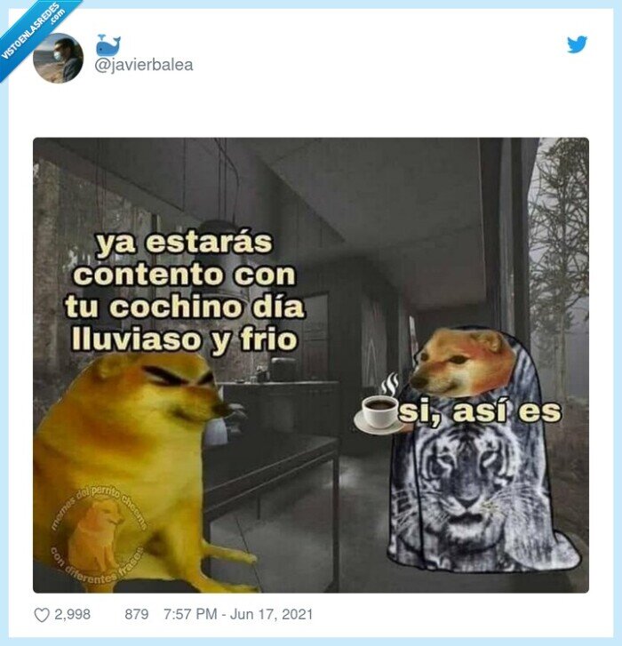 cheems,doge,frío,amante,lluvia