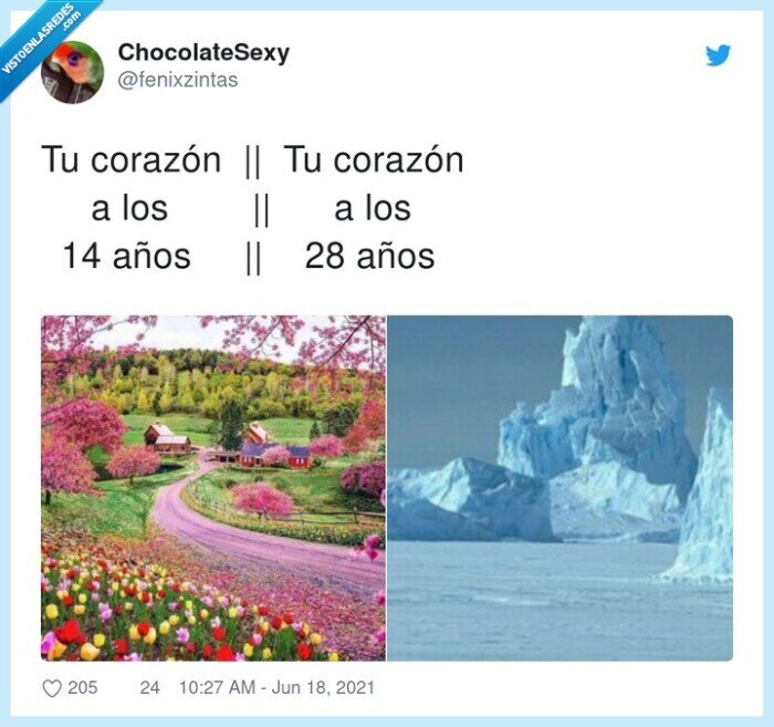 corazón,años,pasar,flores,hielo