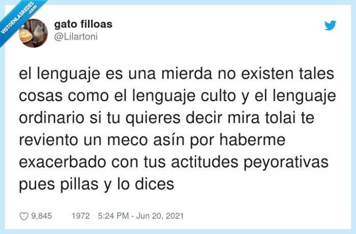 peyorativas,exacerbado,actitudes,ordinario,lenguaje,reviento