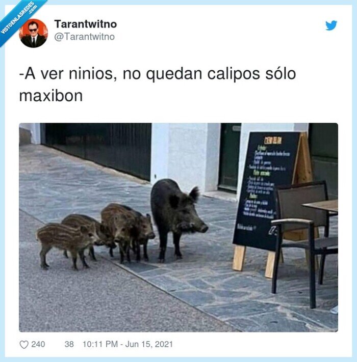 ninios,calipos,maxibon,jabal&iacute;s,helados