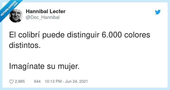 distinguir,distintos,colibrí,colores