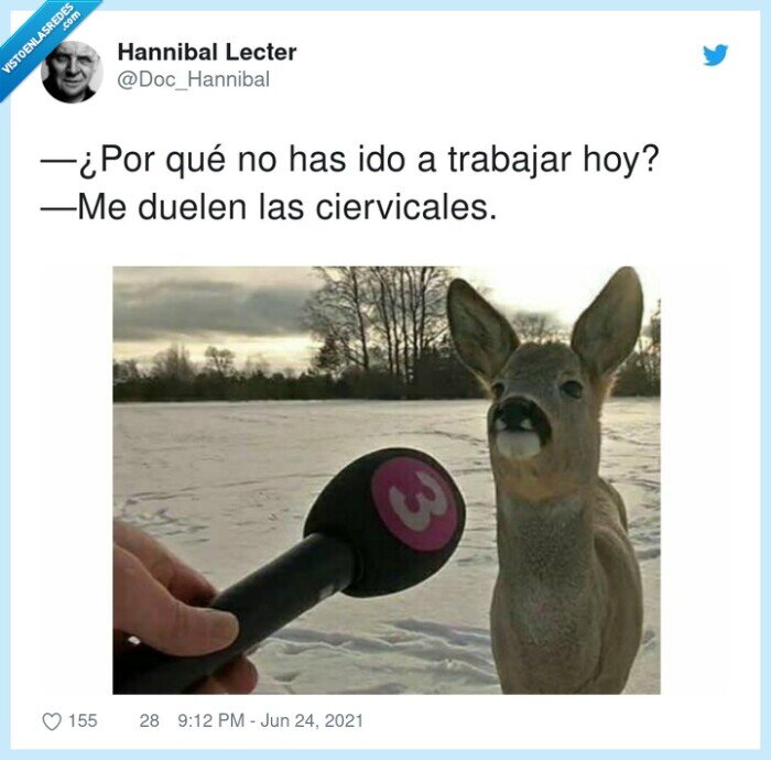 cervicales,trabajar,chistaco,ciervo