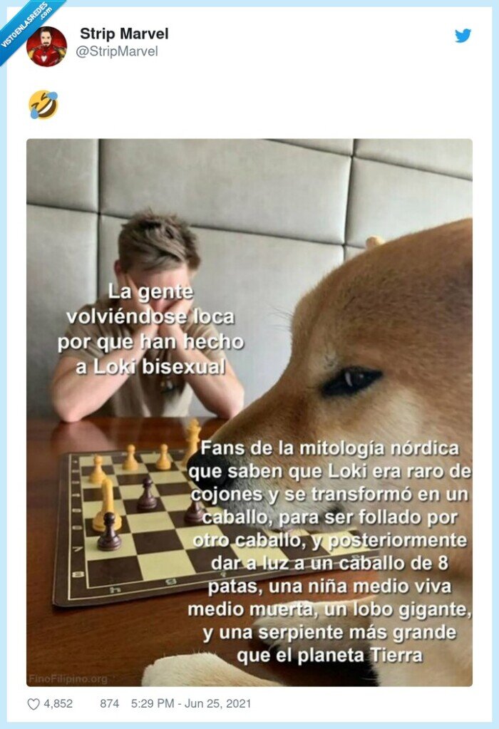 loki,bisexual,prejuicios