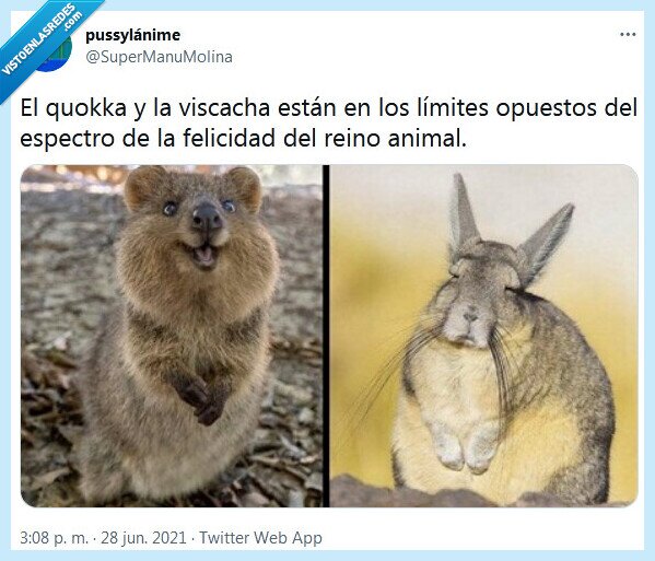 felicidad,animales,espectro