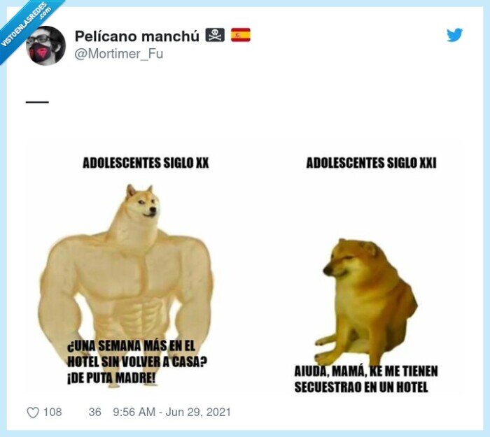 mallorca,hotel,coronavirus,cuarentena,cheems,doge