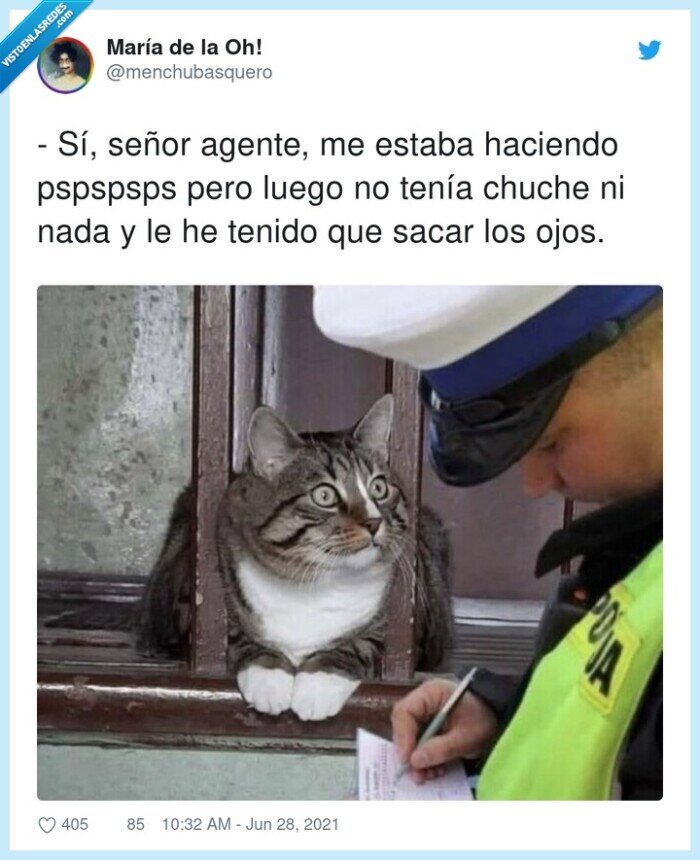 gato,pspspsps,agente,chuches