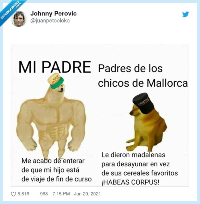 padres,hijos,mallorca,hotel,doge,cheems