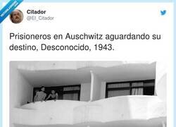 Enlace a Ojo como alguno tenga sangre inglesa, por @El_Citador