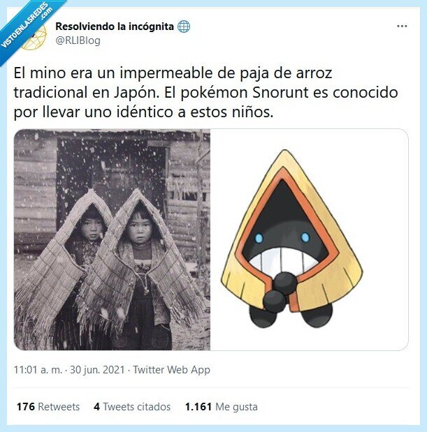 pokémon,historia,japón,snorunt,impermeable