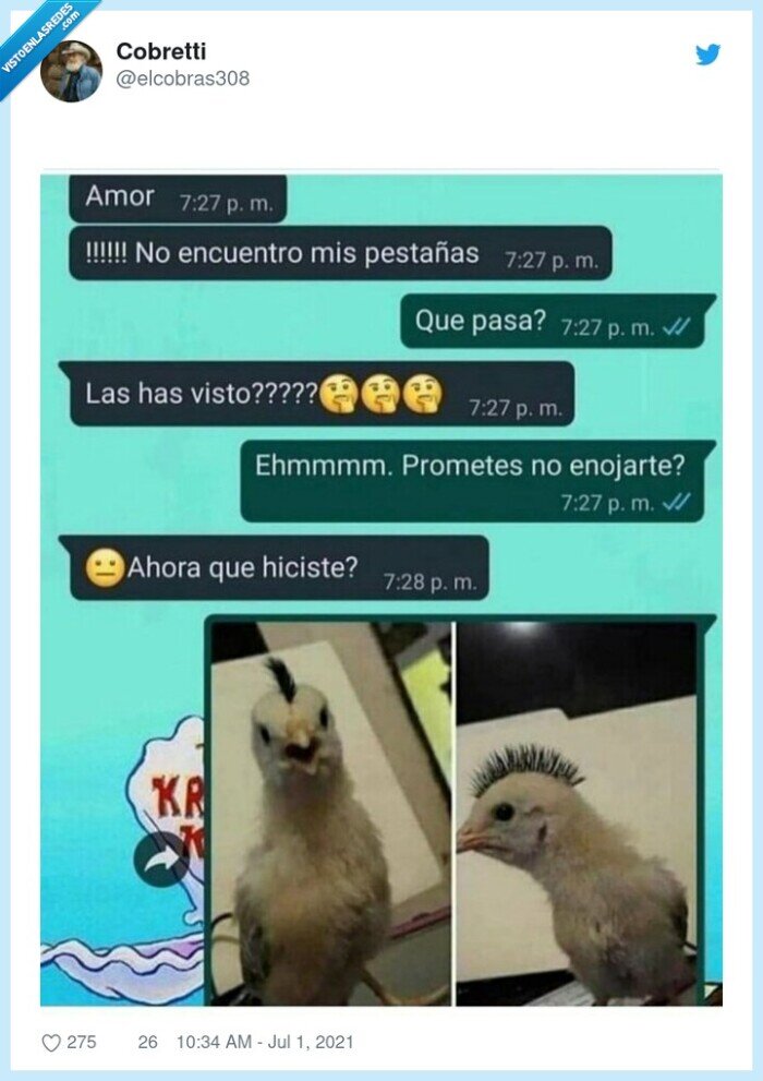 cresta,pollo,pestañas