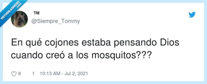 mosquitos,pensar,dios,creación