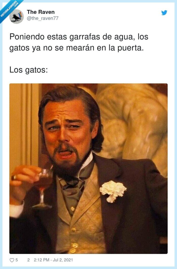 gatos,garrafas,mear,puerta,agua