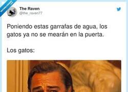 Enlace a ¿De dónde salió la leyenda urbana que eran efectivas? por @the_raven77