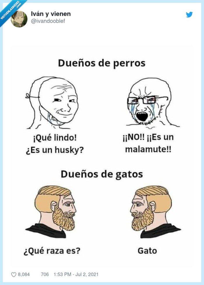 gatos,perros,razas,mascotas