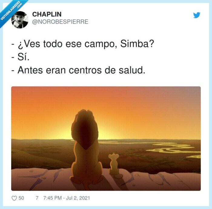 centro de salud,campo,simba,mufasa