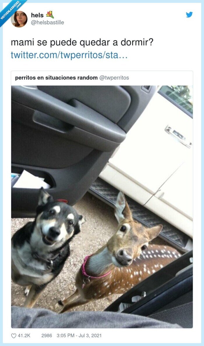 quedarse,dormir,preguntar,madre,mami