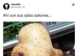 Enlace a It's a trap, por @macaba_72
