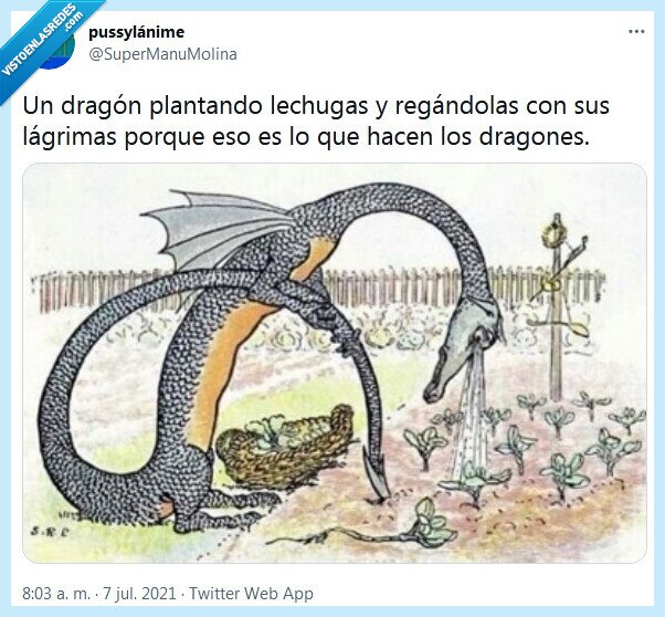 dragón,lechugas,plantar,lágrimas