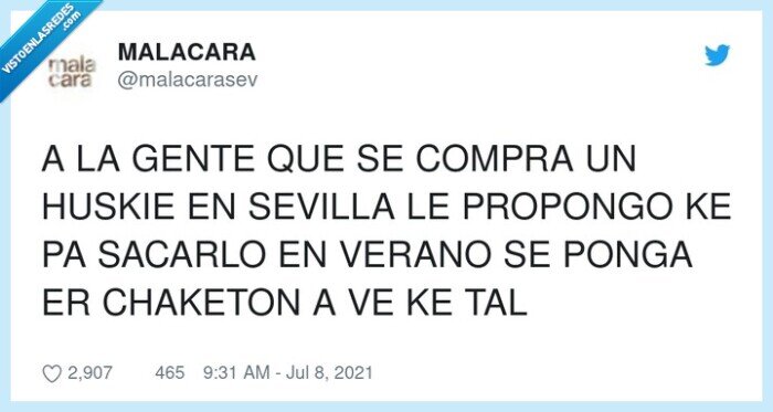 chaqueton,sevilla,comprar,husky