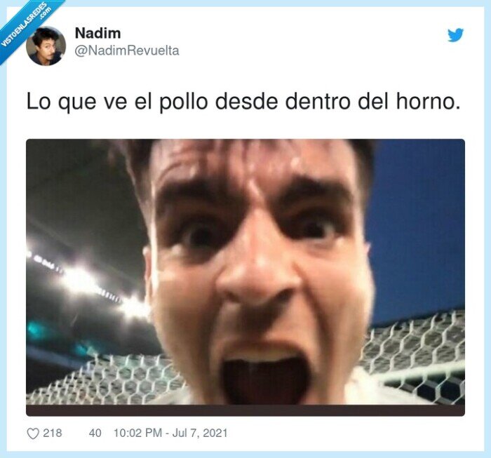 dentro,pollo,desde,horno