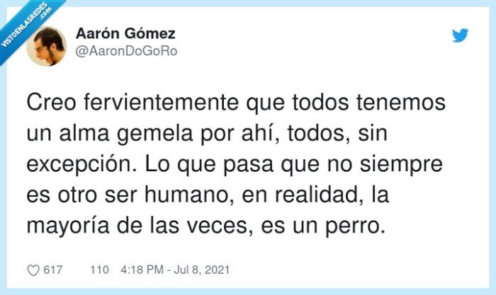 fervientemente,excepción,realidad,mayoría,perro,amistad