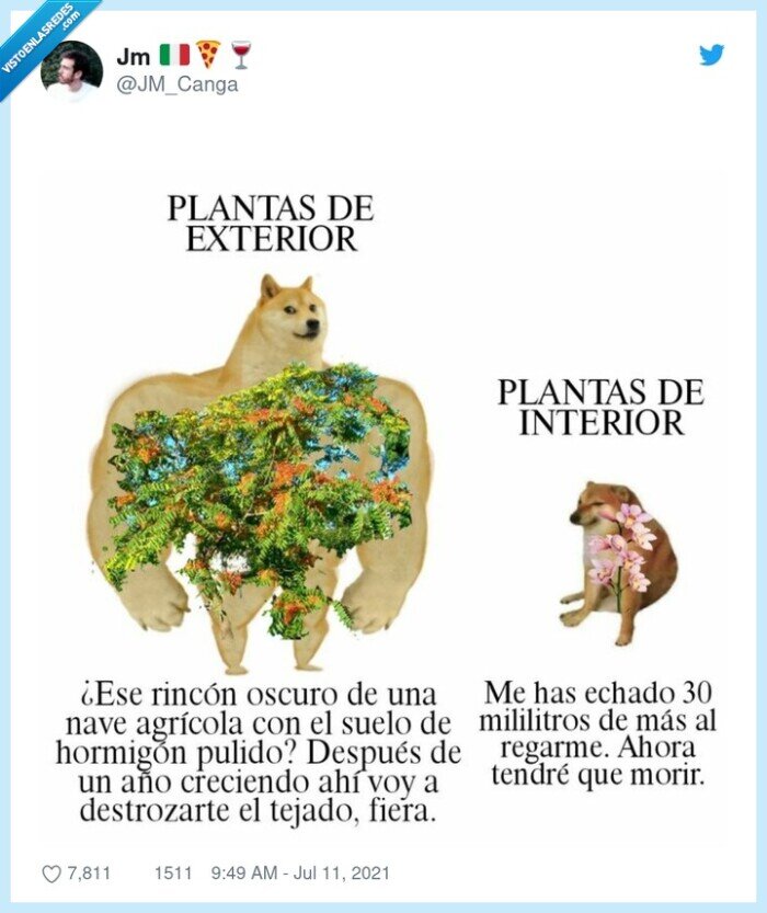 plantas,cheems,doge,meme