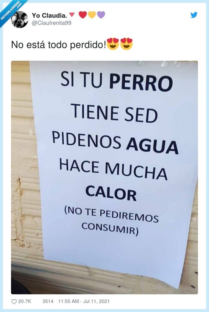 sed,perro,calor