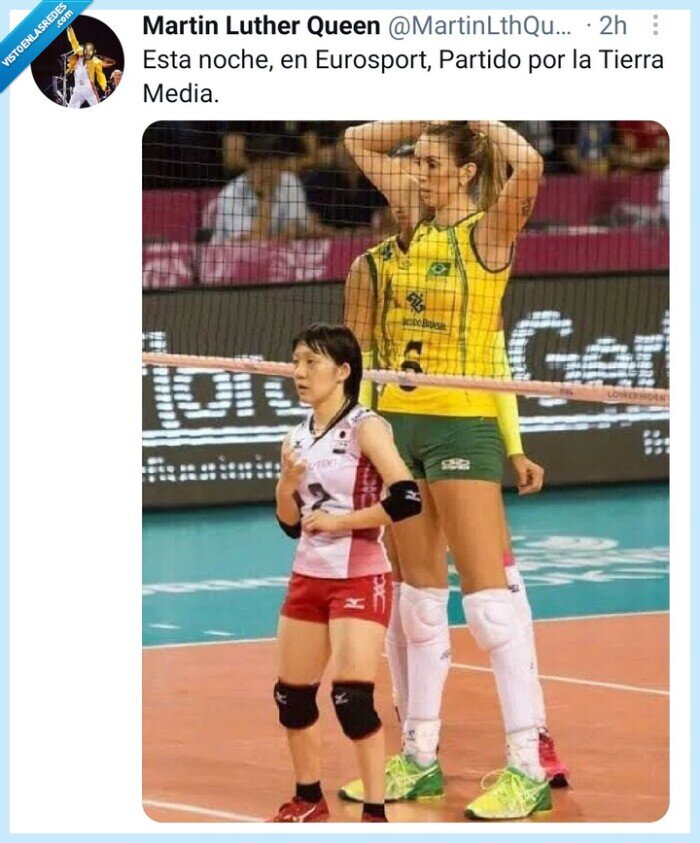 Twitter,meme,gigante,gnomos,volleyball