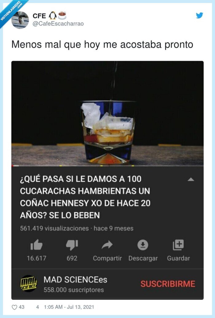 acostarse,pronto,cucarachas,videos,youtube