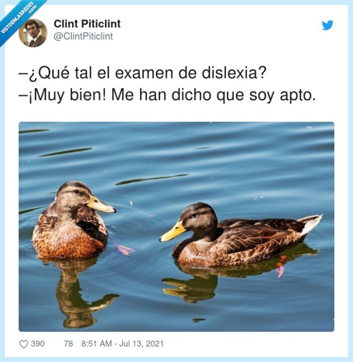 dislexia,examen,pato,apto